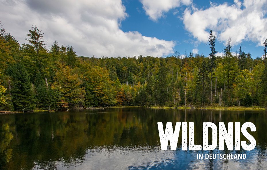 Wildnis in Deutschland