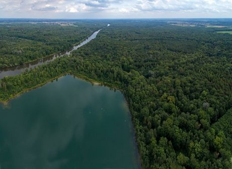 Donauauen bei Neuburg