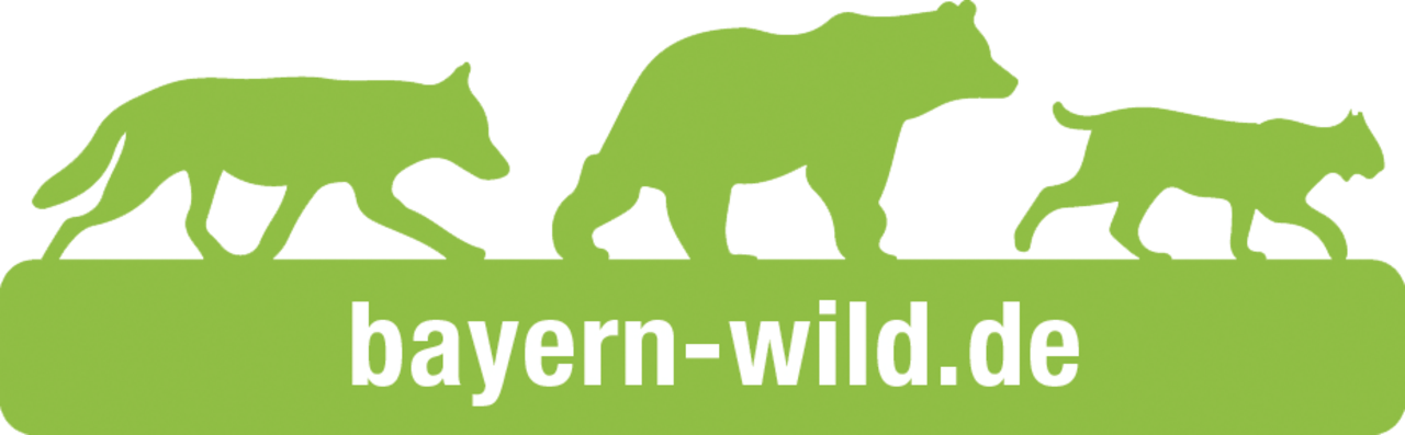 BAYERN WILD