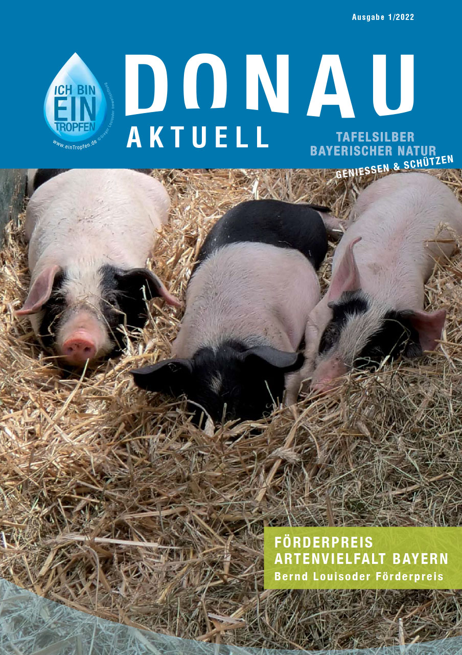 Newsletter Donau Aktuell 1/2022